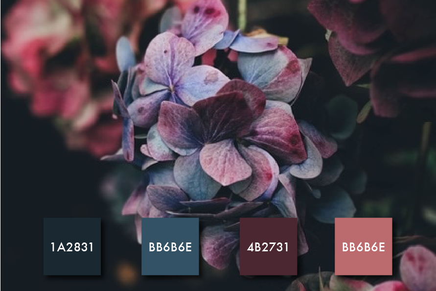 Red and purple color palette