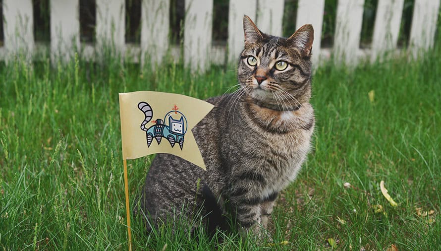 Cat We All Just Get Along Logo Cat We All Just Get Along Logo