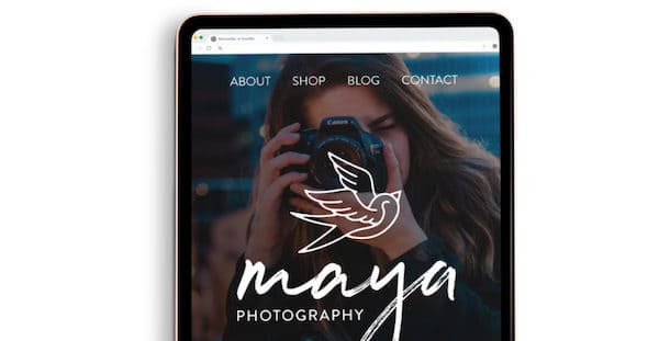 professional website