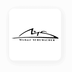 Michael schumacher logo