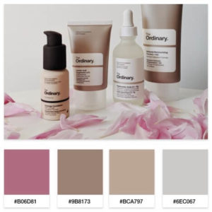 beauty blog color palette