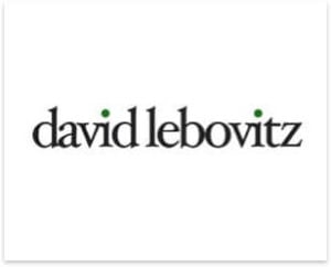 david lebovits blog logo
