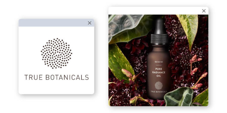 true botanicals logo