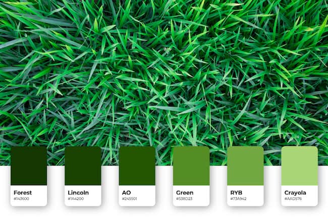 color palette for lawn care logos