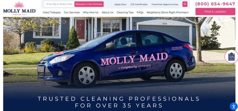 cleaning website