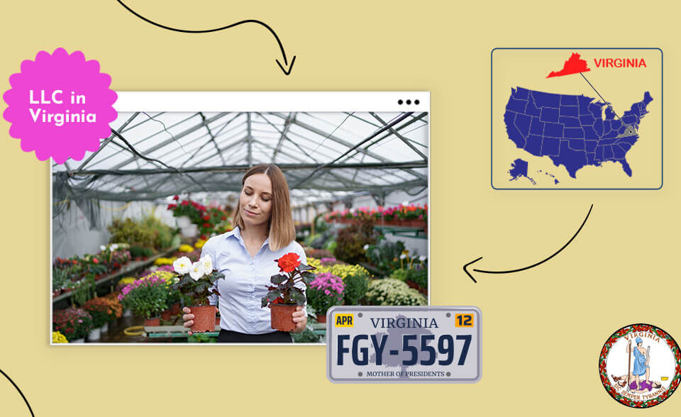 Woman holding flowering plants Virginia LLC