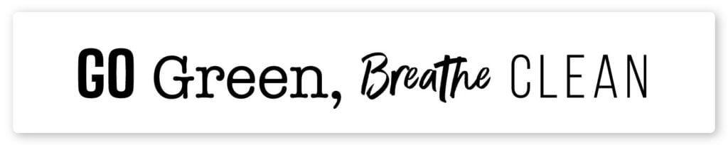 environmental logo typography