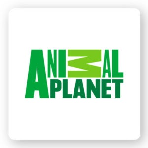 Animal Planet logo