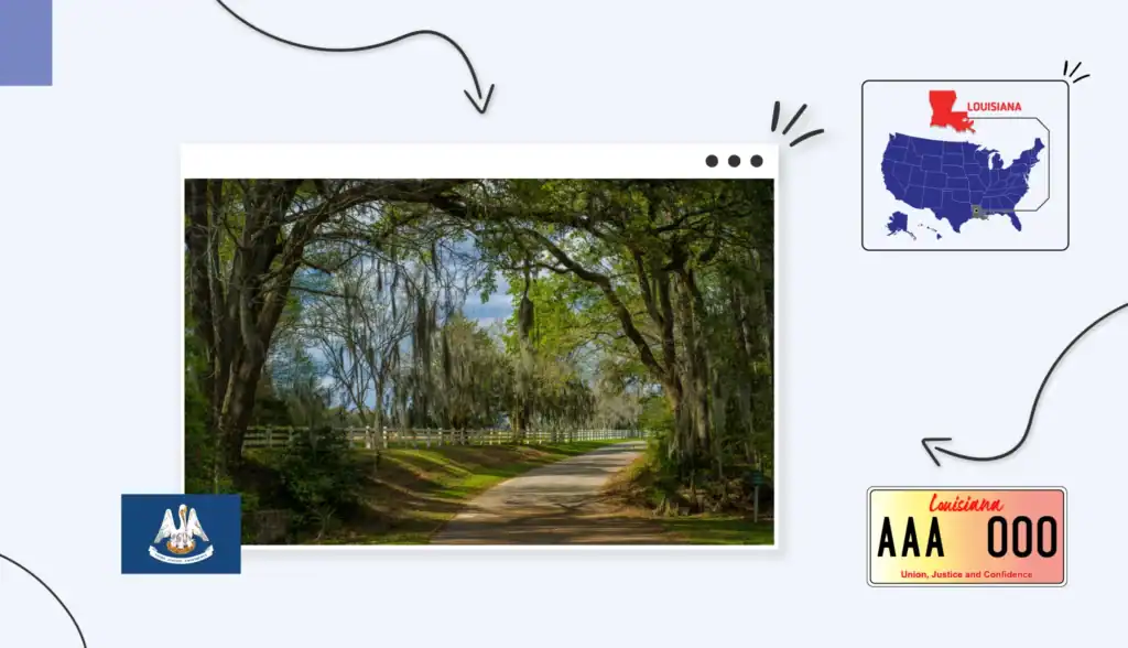 Scenic view of a path lined with trees in Louisiana