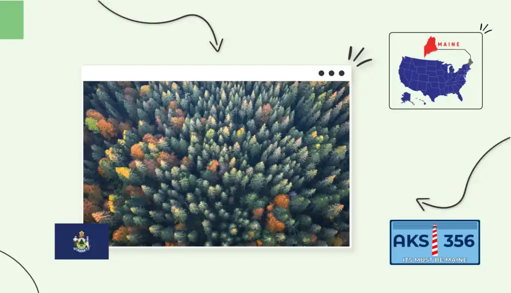 Scenic view of Maine's forestry 
Maine state map, license plate and map