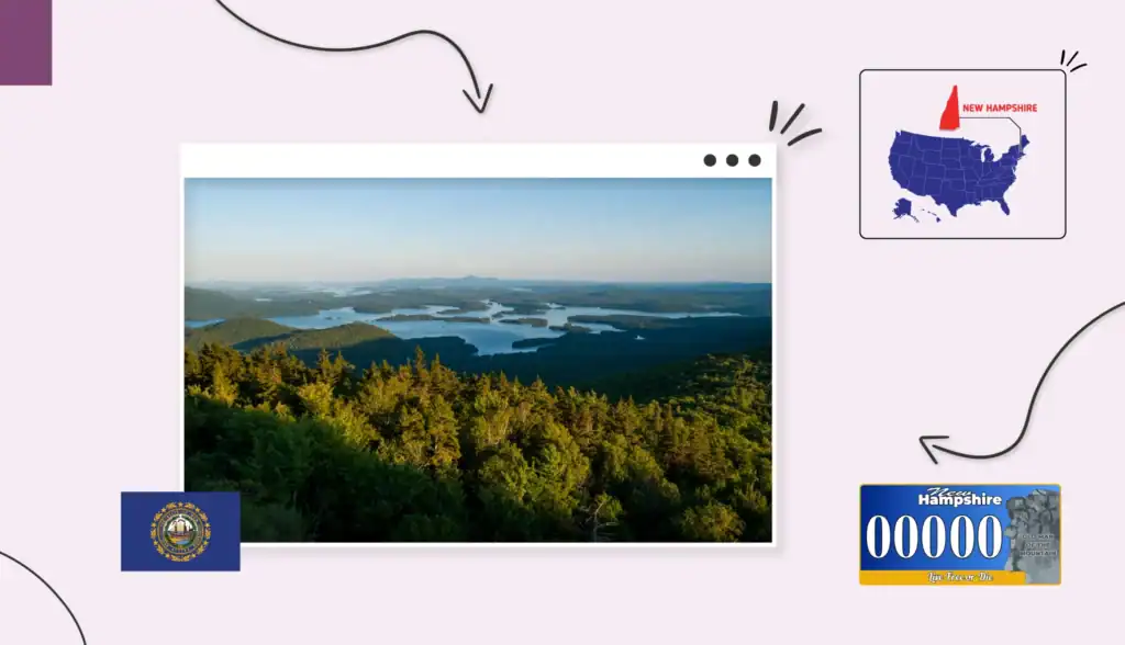 Scenic aerial view of forestry and a lake in New Hamsphire
