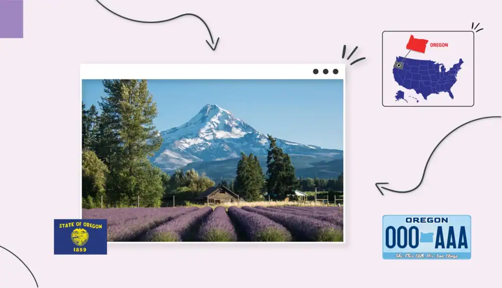 Scenic view of lavender fields with a snowy mountain peak in the background in Oregon