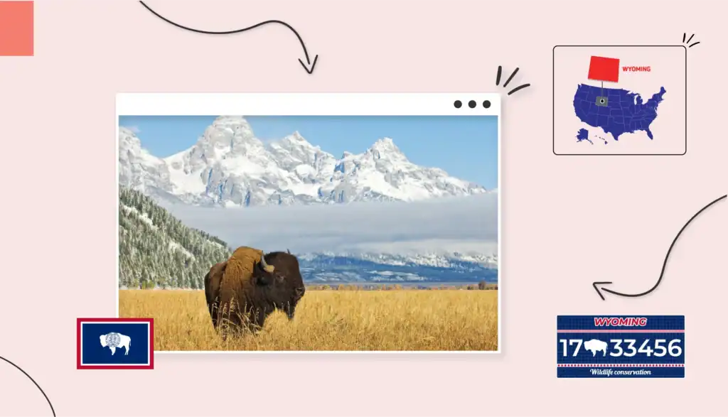 A bison standing in tall grass with mountain peaks behind it, in Wyoming